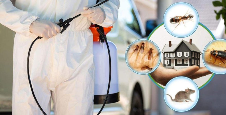 Fahrettin Altay Böcek İlaçlama