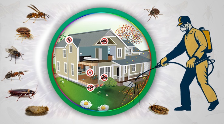 Fahrettin Altay Böcek İlaçlama