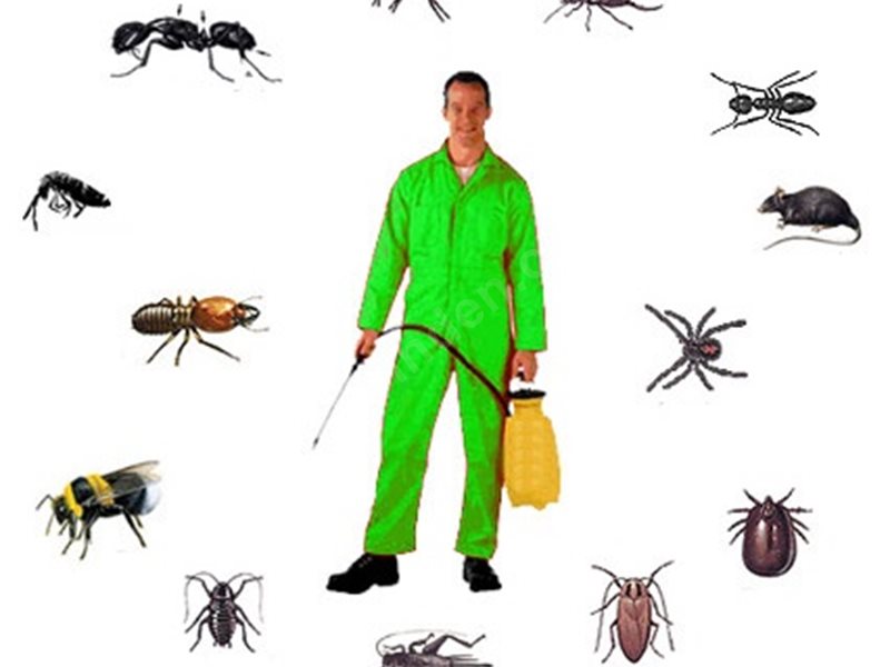 Fahrettin Altay Böcek İlaçlama